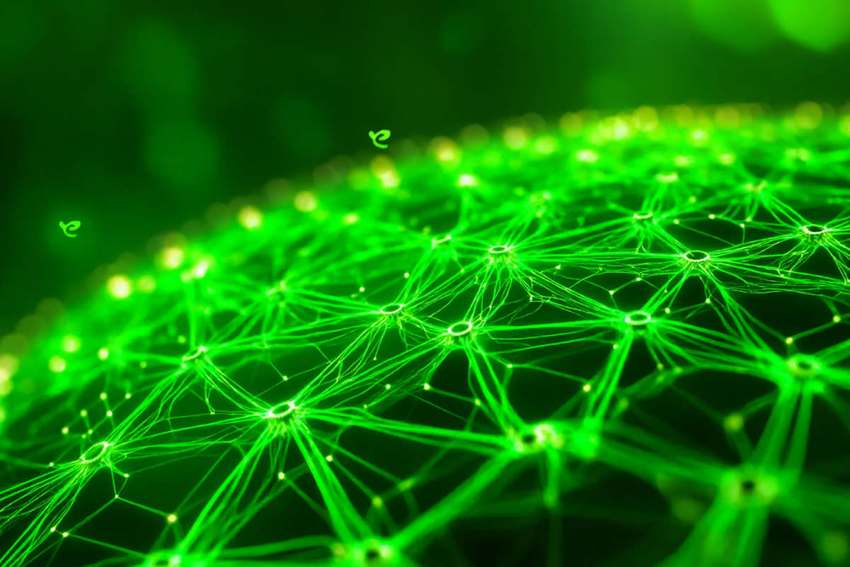 Rete digitale verde che simboleggia la Transizione 5.0, connessa a innovazione, sostenibilità, energia e tecnologia per le imprese.